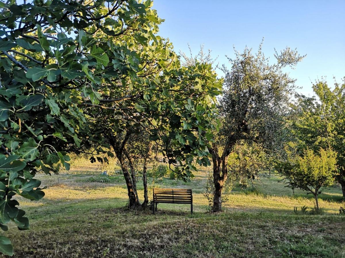 Agriturismo I Ciliegi Appartamento Ginestra Montignano Exterior foto