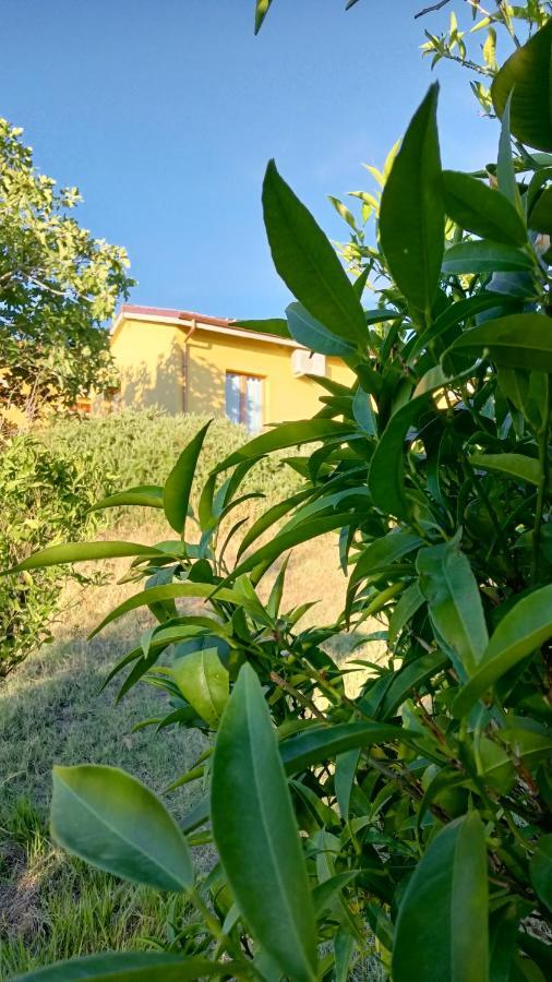 Agriturismo I Ciliegi Appartamento Ginestra Montignano Exterior foto