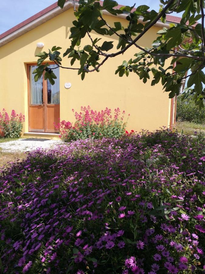 Agriturismo I Ciliegi Appartamento Ginestra Montignano Exterior foto